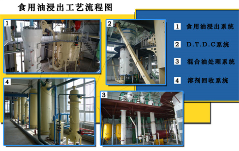 浸出法制油的工作原理和工艺流程介绍