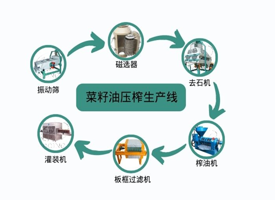 菜籽油加工过程中,哪些措施可以提高菜籽油的出油率?