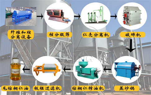 自动化棕榈仁油生产线包含哪些设备?各设备的作用是什么?